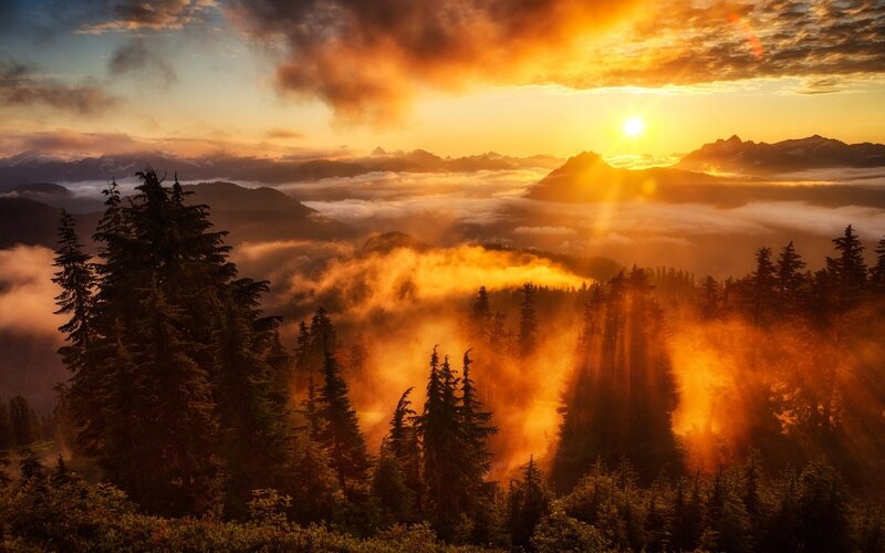 Mountain Forest at Sunrise — Orange, Dramatic, Photograph