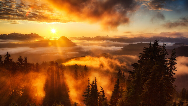 Mountain Forest at Sunrise — Orange, Dramatic