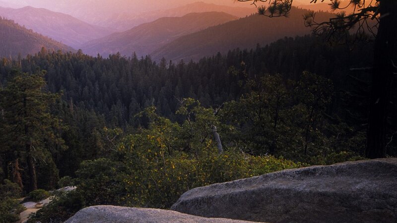Mountain forest at sunset