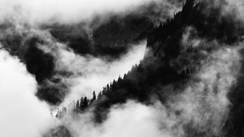 Mountain Forest in Fog — Black