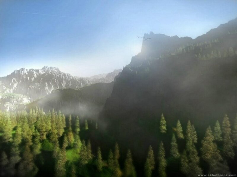 Mountain forest landscape