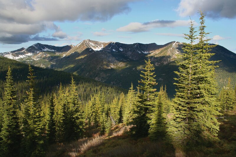 Mountain forest landscape
