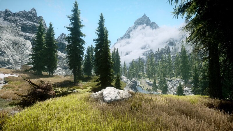 mountain forest landscape