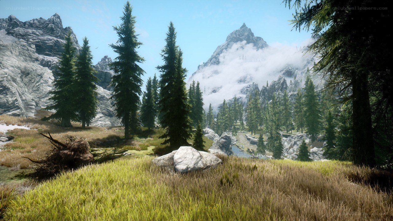 mountain forest landscape