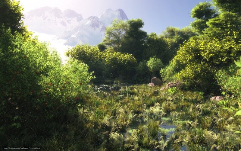 Mountain forest landscape