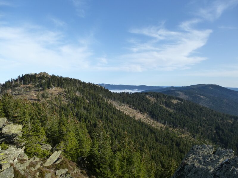 Mountain forest landscape