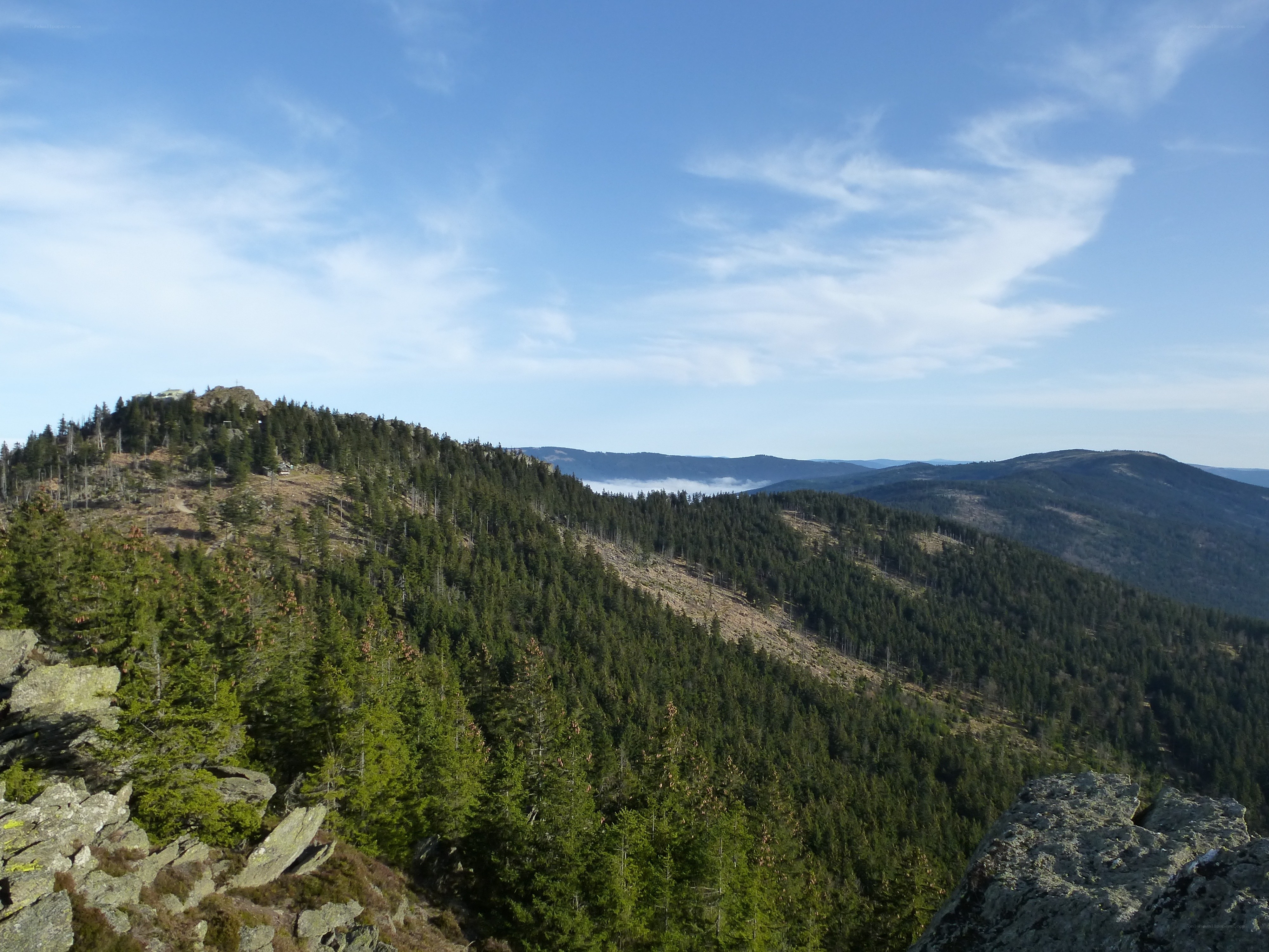 Mountain forest landscape