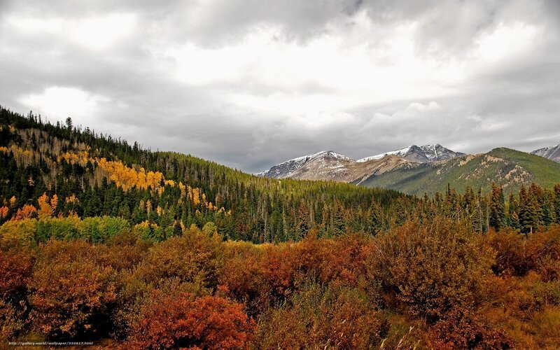 Mountain Forest Landscape — Green, Dramatic, Autumn
