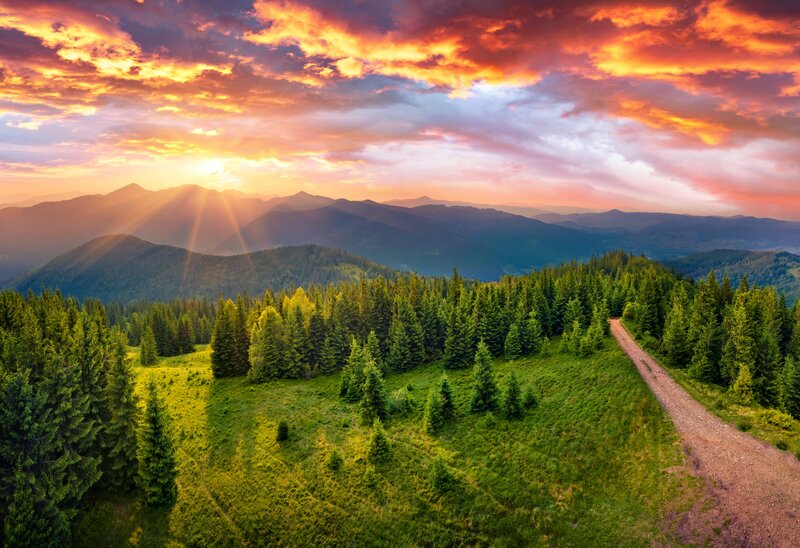 Mountain Forest Landscape — Green, Dramatic, Sunset, Photograph