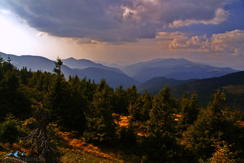 Mountain Forest Landscape — Green, Dramatic, Sunset