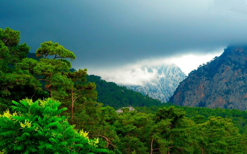Mountain Forest Landscape — Green, Dramatic