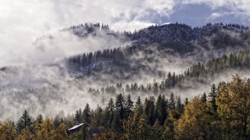 Mountain Forest Landscape — Green, Misty