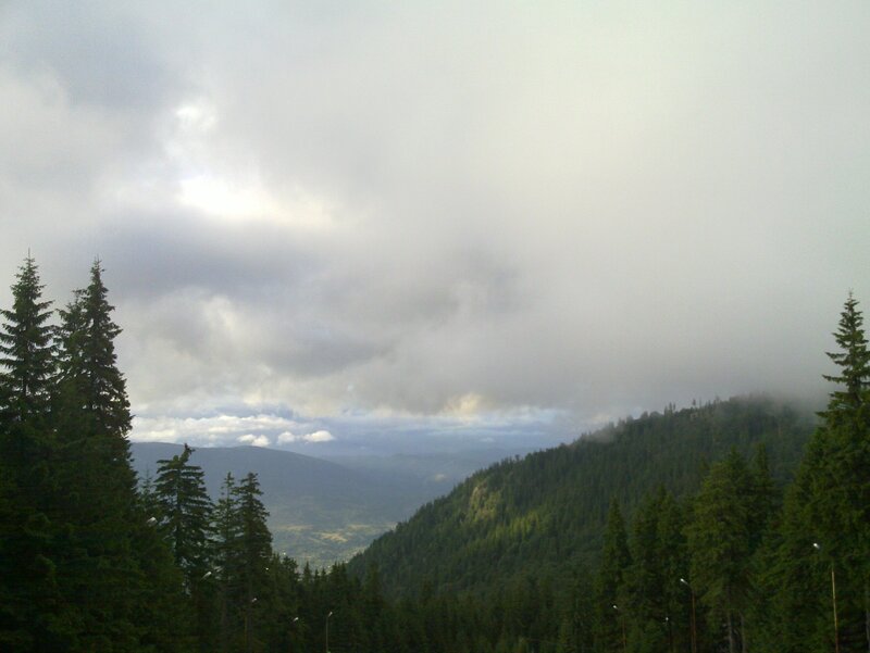 Mountain Forest Landscape — Green, Overcast