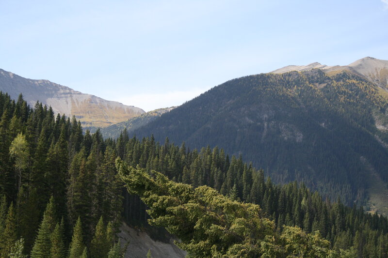 Mountain Forest Landscape — Green, Serene, Autumn