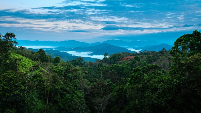 Mountain Forest Landscape — Green, Serene, Morning, Photograph, Mountains