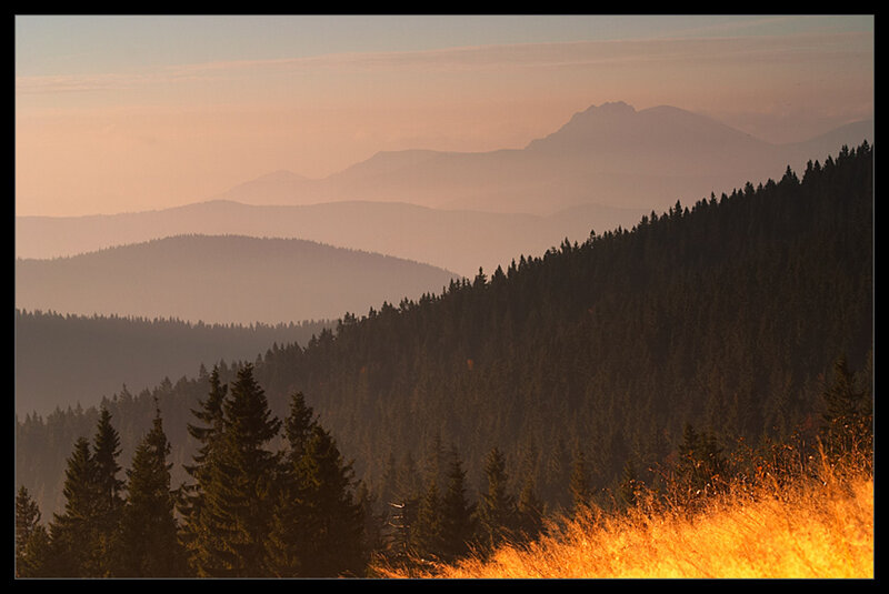 Mountain Forest Landscape — Orange