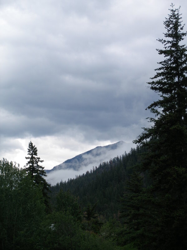 Mountain forest under cloudy sky