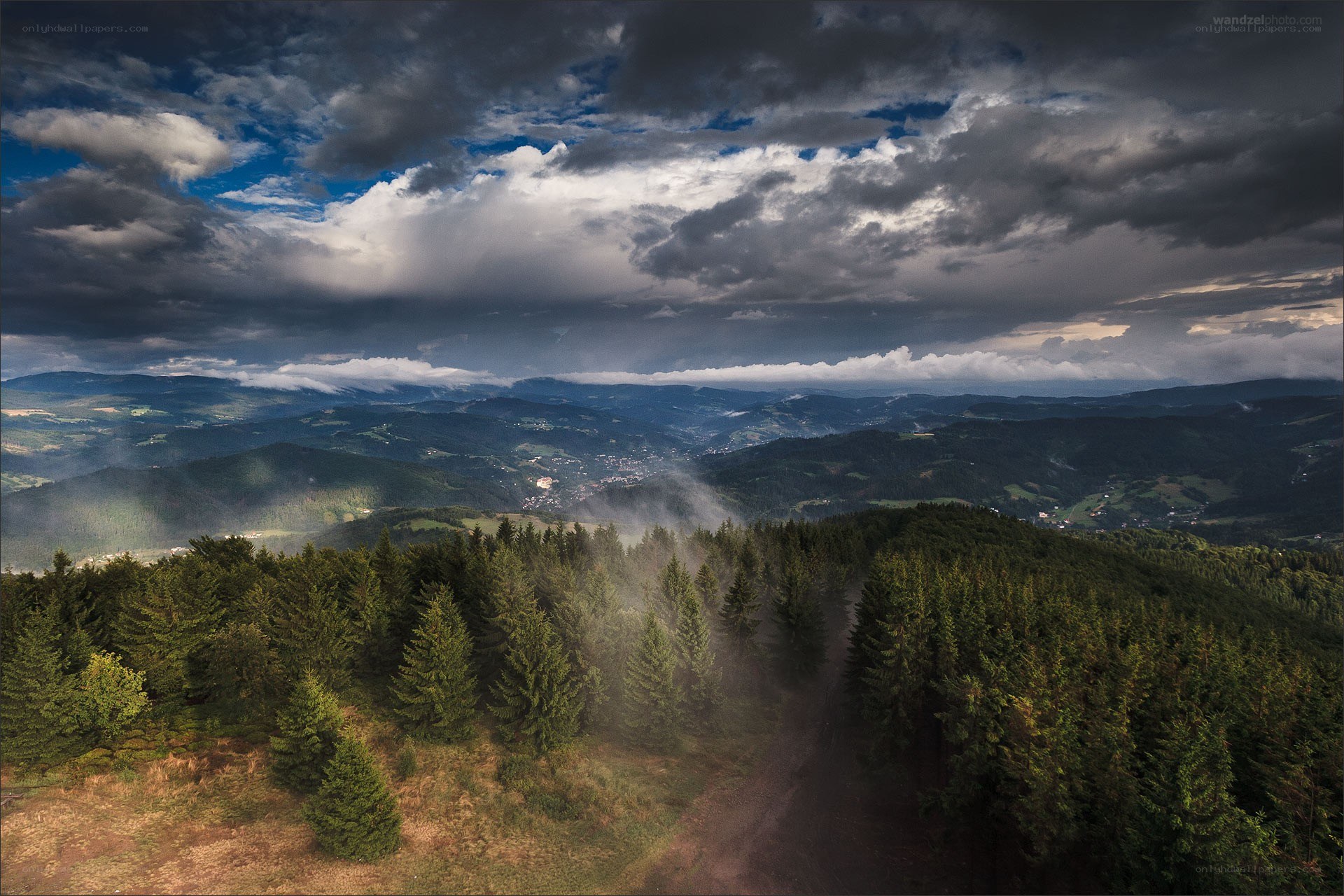 Mountain forest under stormy sky