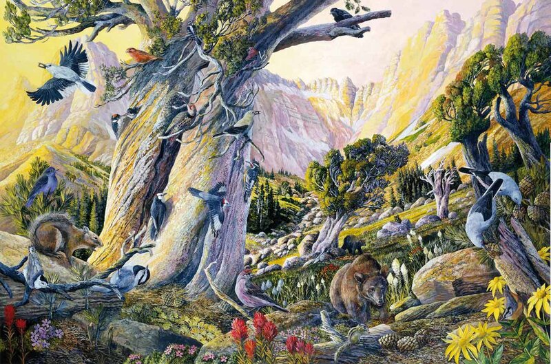 Mountain forest wildlife scene