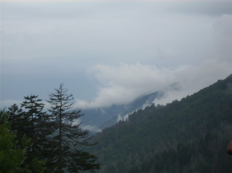 Mountain Forest with Clouds