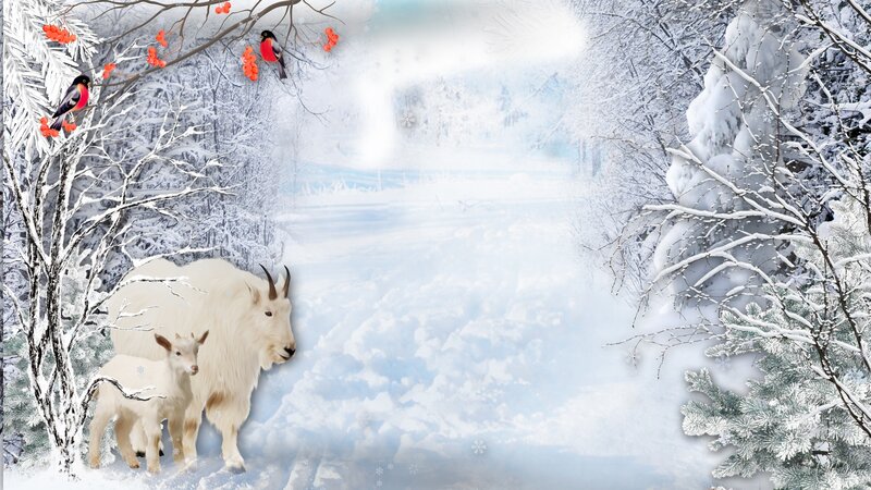 Mountain Goat and Kid — White