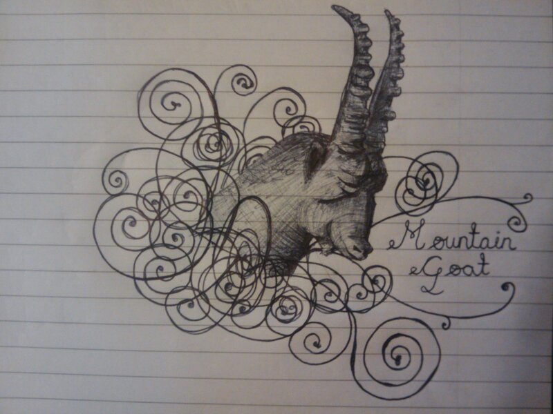 Mountain goat sketch on lined paper