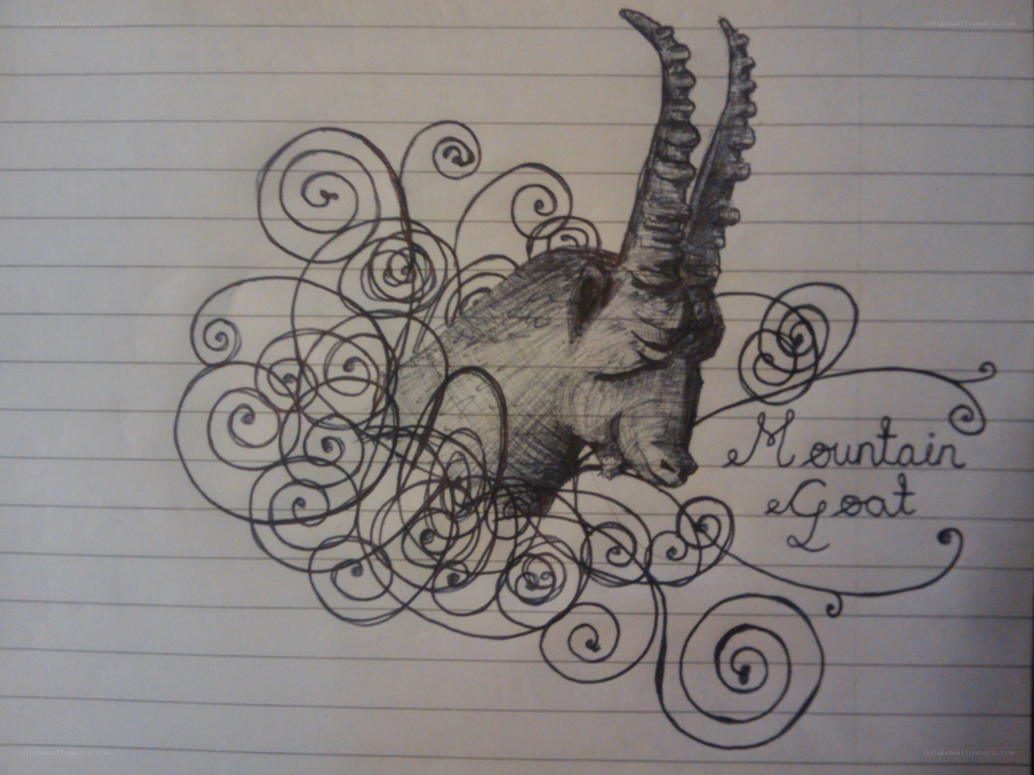 Mountain goat sketch on lined paper