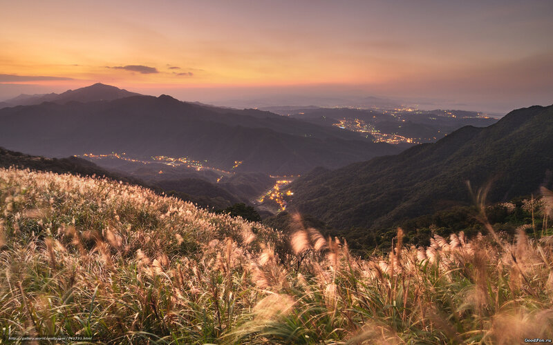 Mountain Grasses at Dusk — Orange, Serene