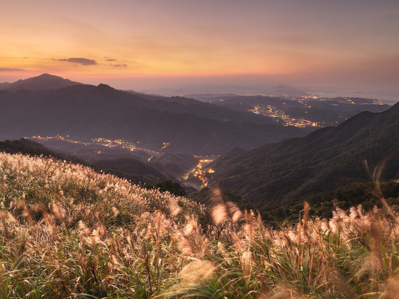 Mountain Grasses at Dusk — Orange