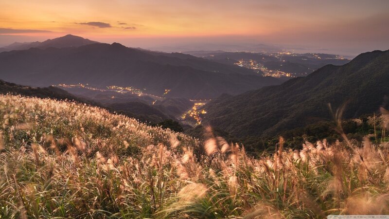 Mountain Grasses at Dusk