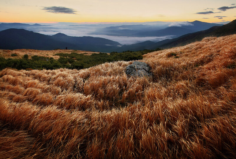 Mountain Grassland at Dawn