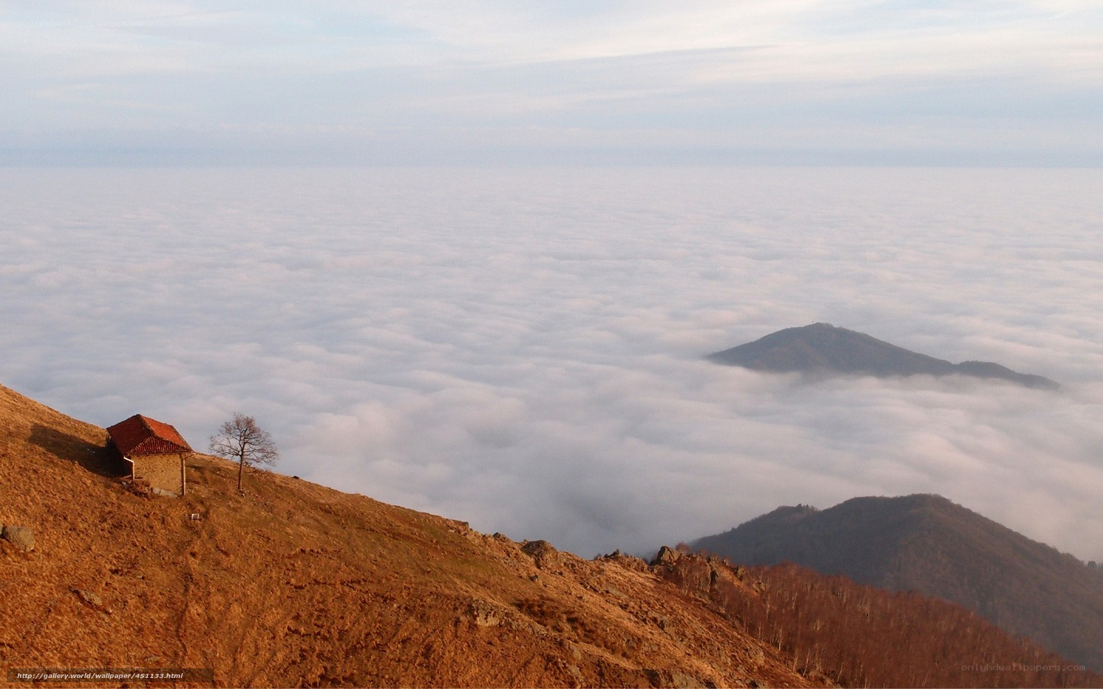Mountain hut above clouds