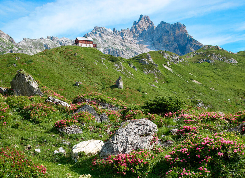 Mountain Hut in Alpine Meadow — Green