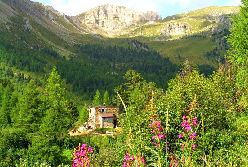 Mountain Hut in Valley — Green