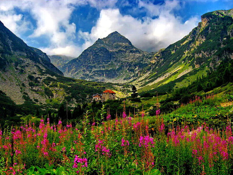 Mountain Hut in Valley