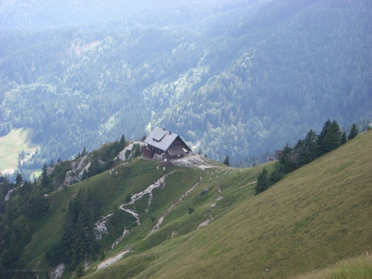 Mountain hut on a forested hill