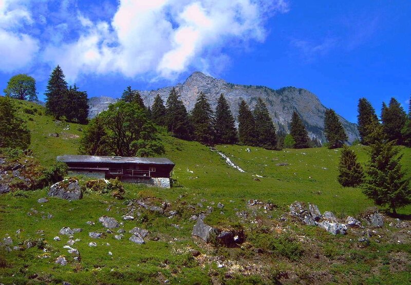 Mountain Hut on Grassy Slope