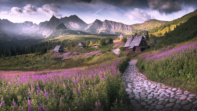 Mountain Huts in Flower Field