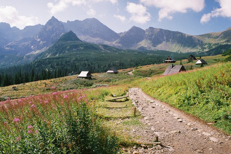 Mountain Huts in Meadow
