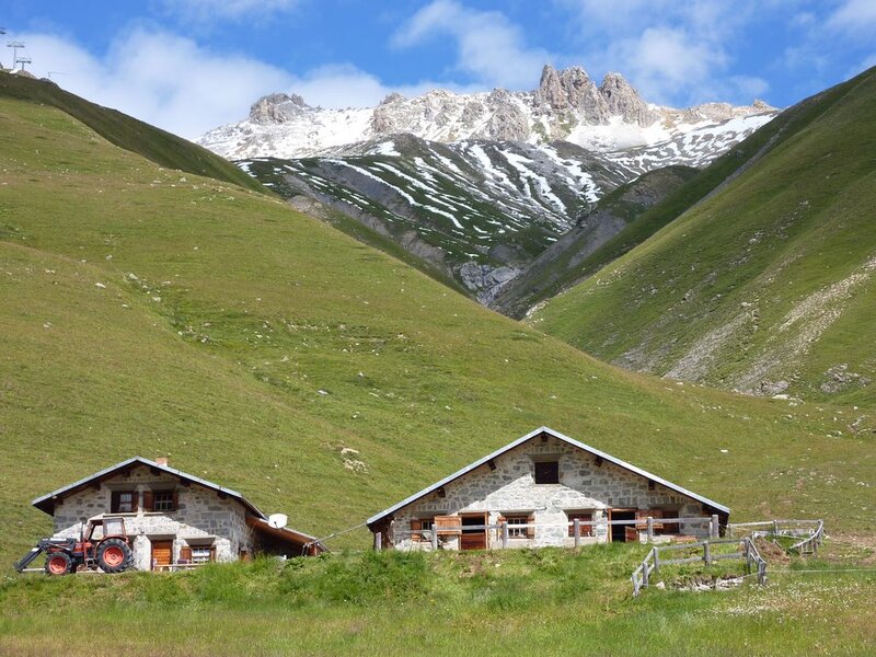 Mountain Huts in Valley — Green, Serene, Summer