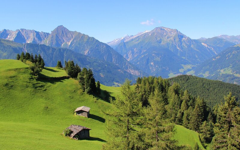 Mountain Huts on Green Hill