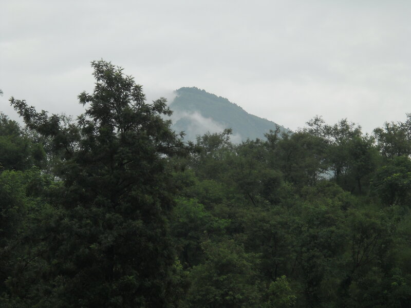 Mountain in Fog