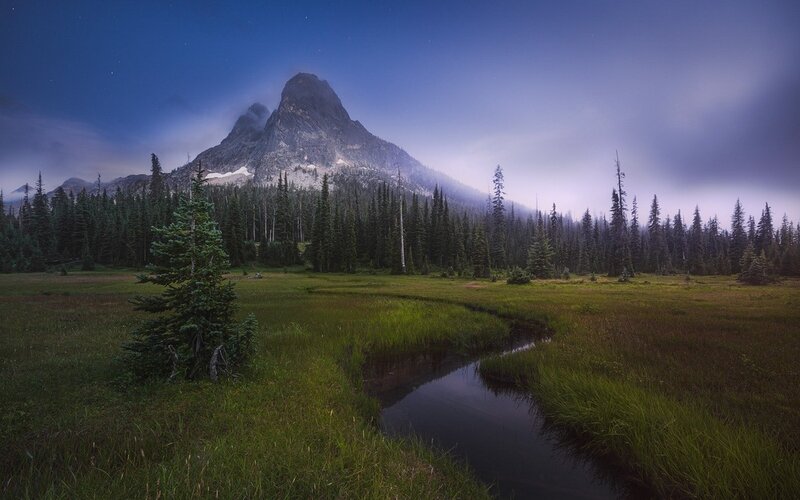 Mountain in Forest Meadow