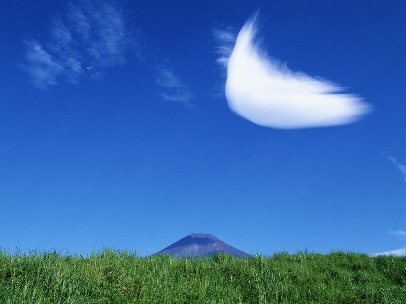 Mountain in Grassy Field