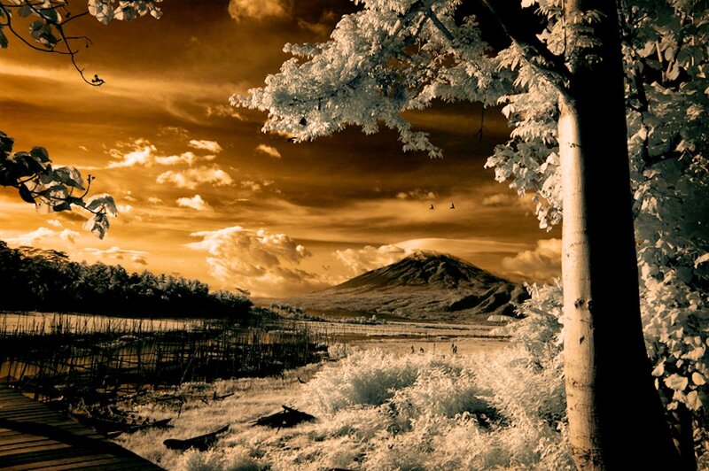 Mountain in Infrared Landscape