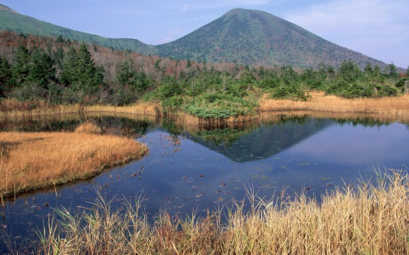 Mountain Lake and Forest — Blue, Serene