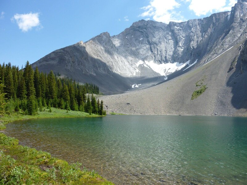 Mountain Lake and Forest — Blue