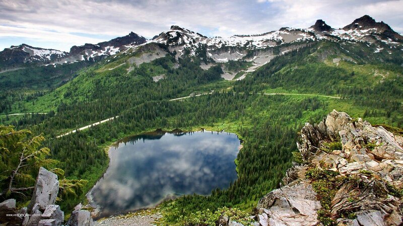 Mountain Lake and Forest