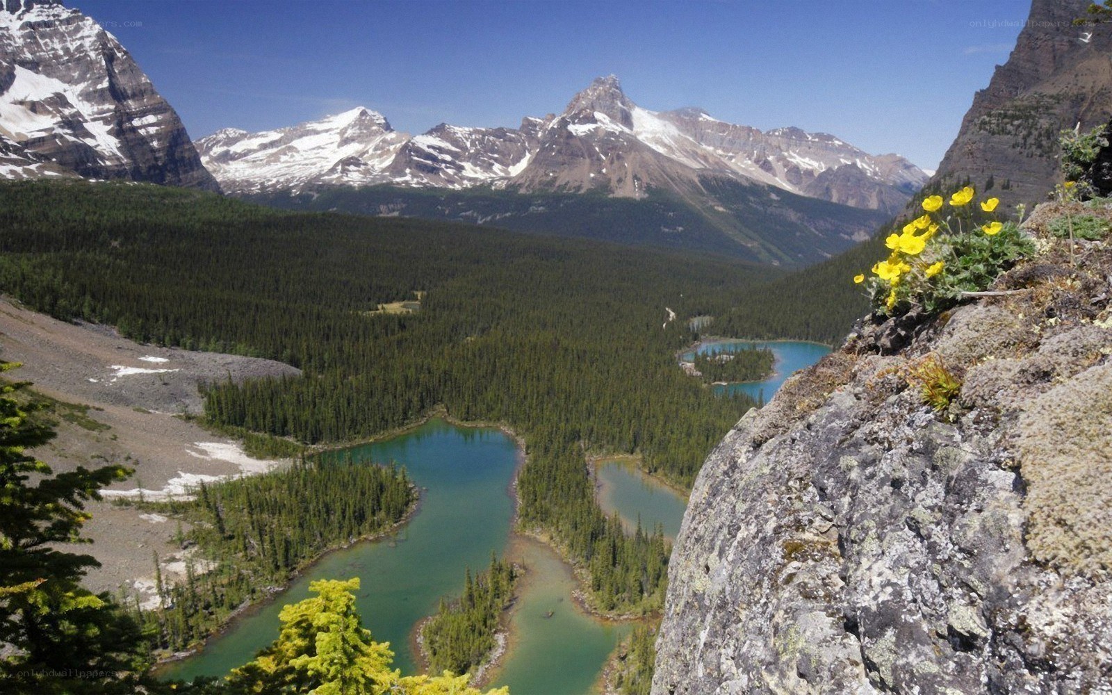 Mountain lake and forest vista