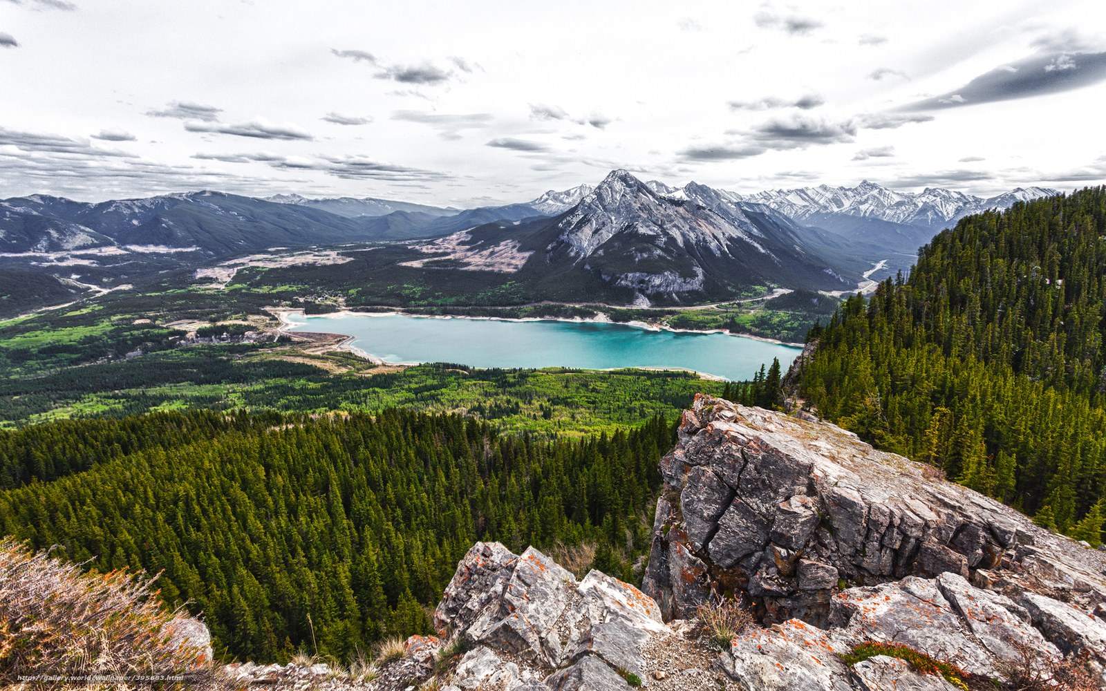Mountain lake and forest vista